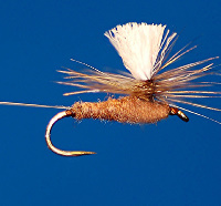 March Brown Parachute - Click for Recipe