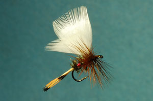 Fan Wing