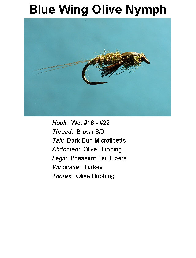 North Georgia Fly Hatch Chart