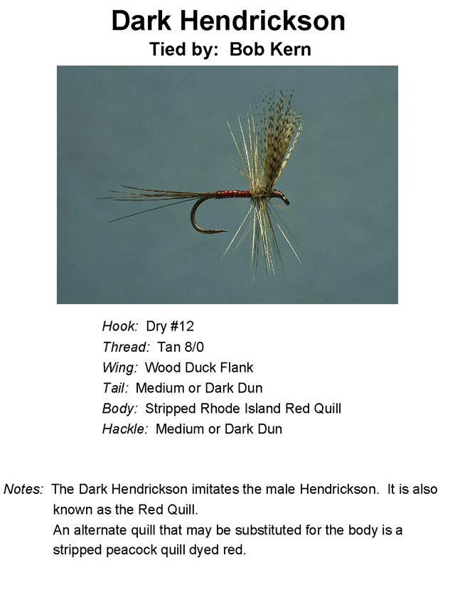 North Georgia Fly Hatch Chart