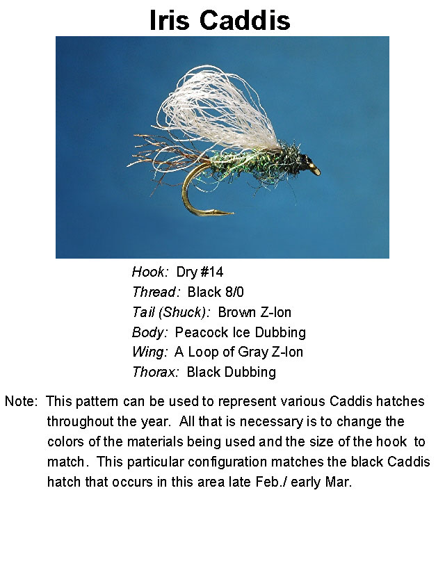 North Georgia Fly Hatch Chart