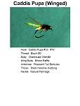 CaddisPupaWinged.jpg