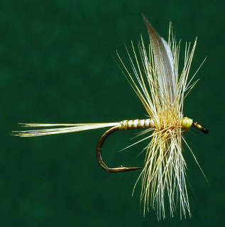 Ginger Quill - 1st Place 2009