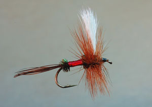 Royal Wulff - 1st Place 2008