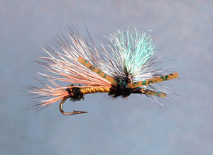 Tennessee Madam 2nd Place 2008
